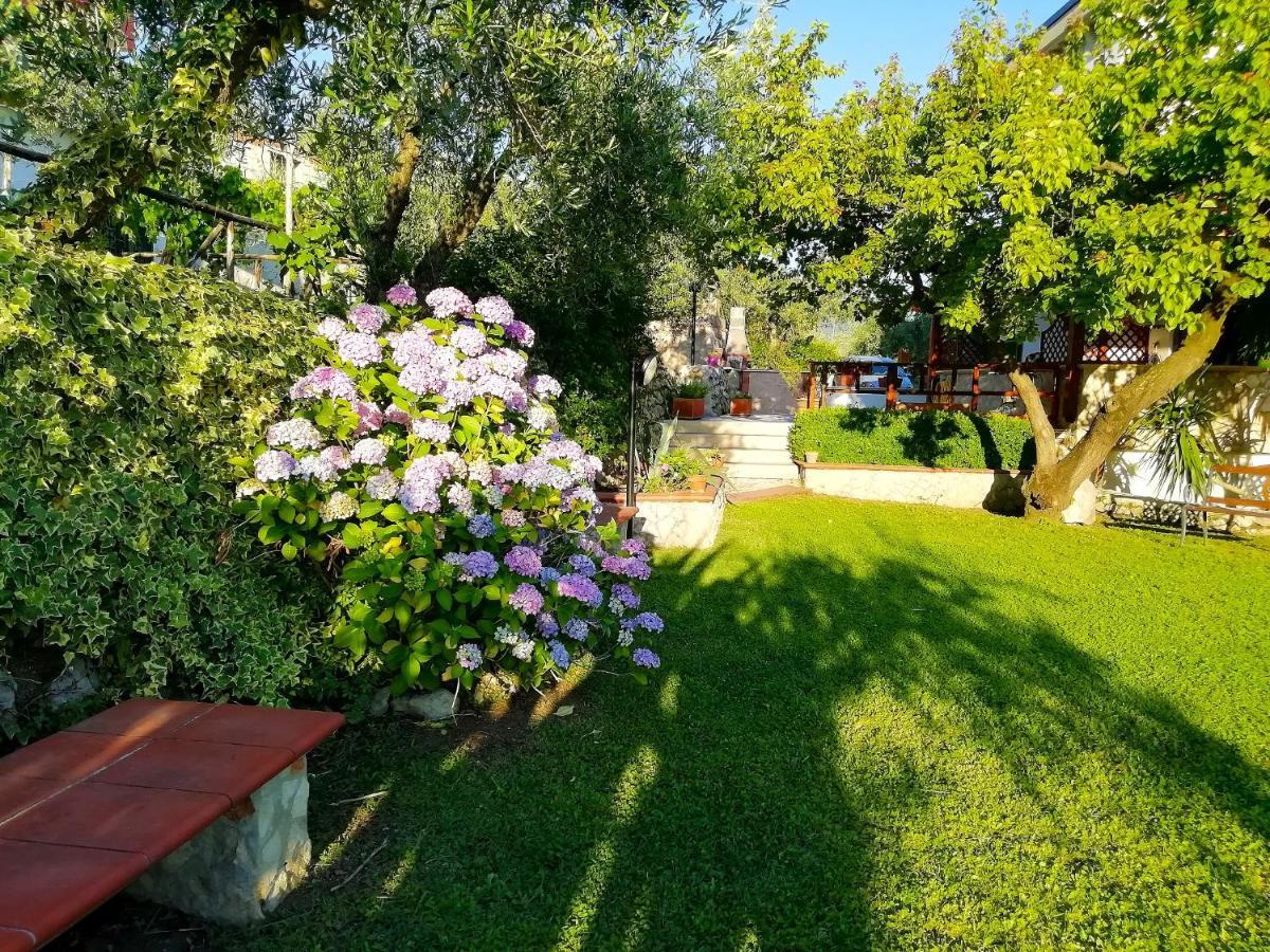 B&B Maison Villa Vittorio Avella Exterior foto